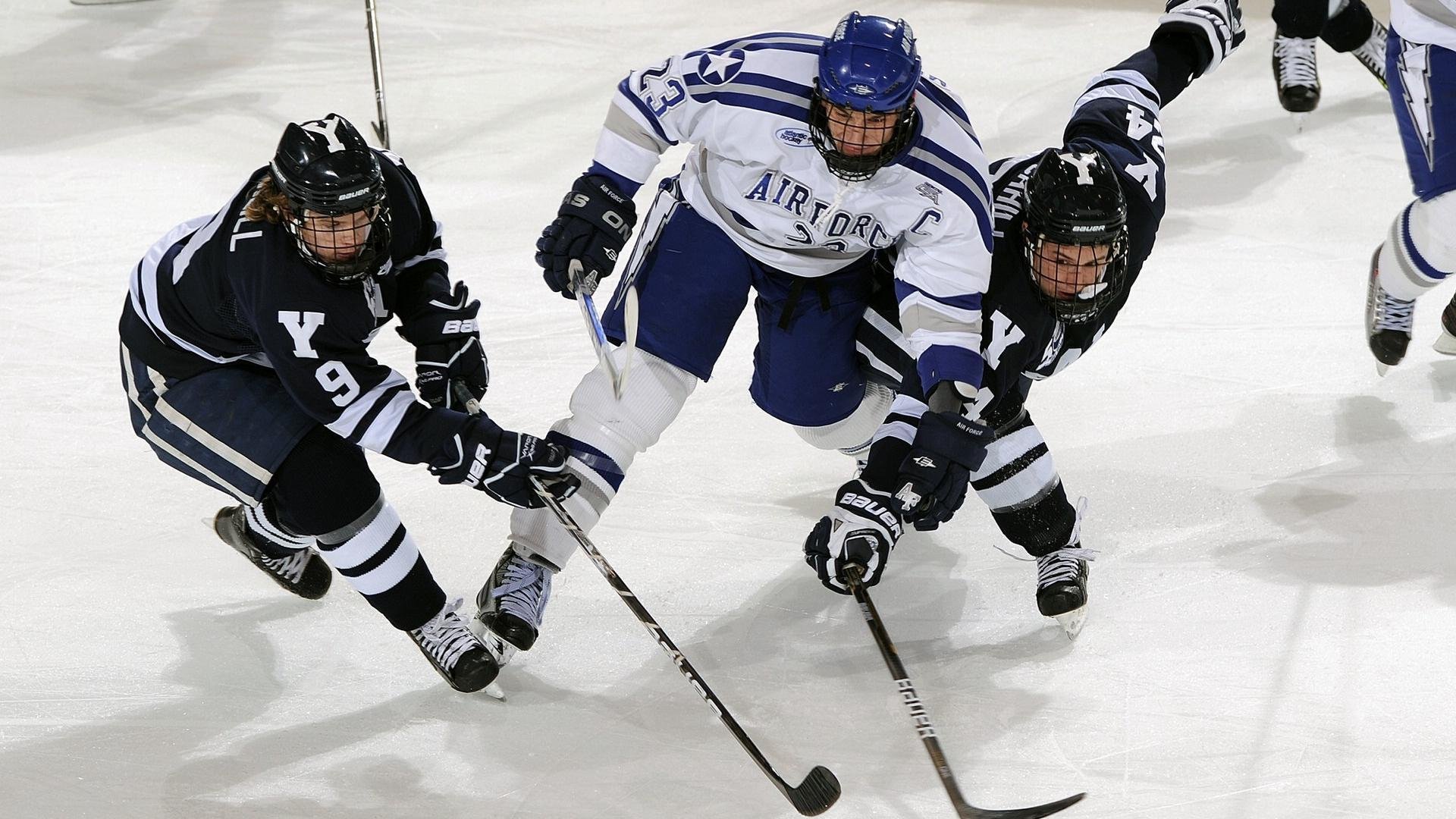 青少年体育竞赛组织管理,青少年体育竞训工作